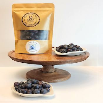 Freeze Dried
