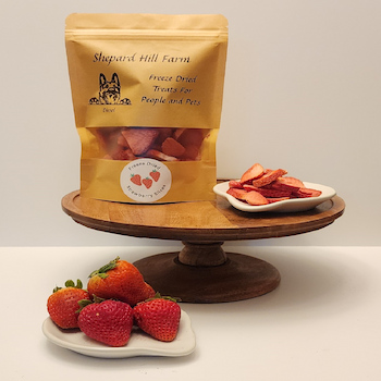Freeze Dried